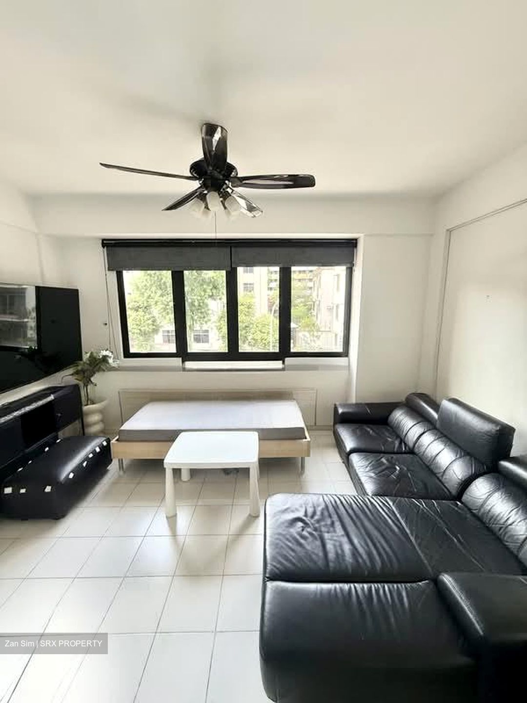 Bristol Lodge (D8), Apartment #574536591